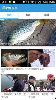钓鱼爆料视频最新大全,高清大全视频揭秘钓鱼技巧与心得